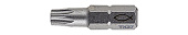Бита FPB T 40 PROFI Bit W 2 (TX40x25 мм (компл. 2 шт.)), сталь
