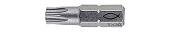 Бита FPB T 30 PROFI Bit W 10 (TX30x25 мм (компл. 10 шт.)), сталь